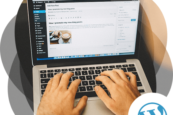 wordpress-development wordpress-development